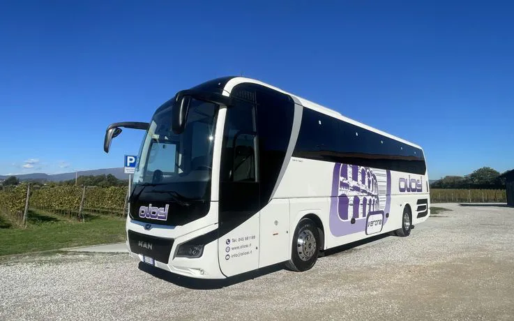 bus gt
