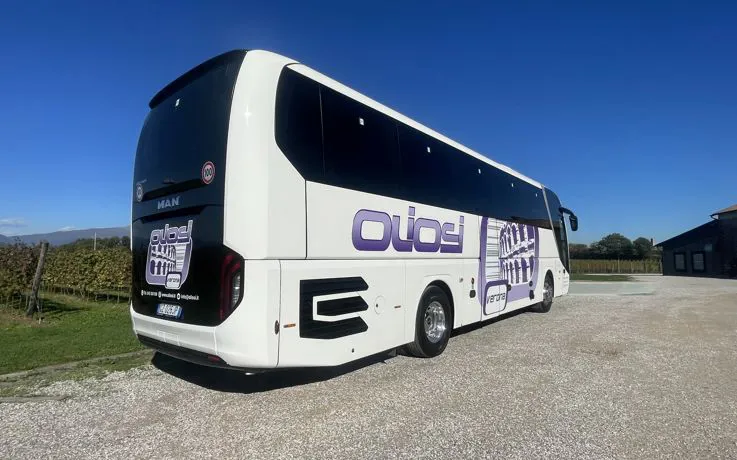 bus mans lions coach